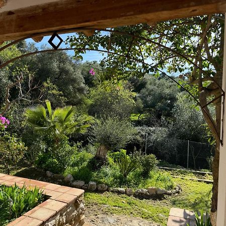 La Fontana Villa Cortes de la Frontera Ngoại thất bức ảnh