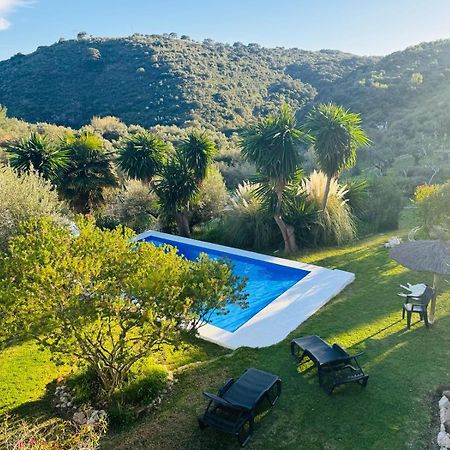 La Fontana Villa Cortes de la Frontera Ngoại thất bức ảnh