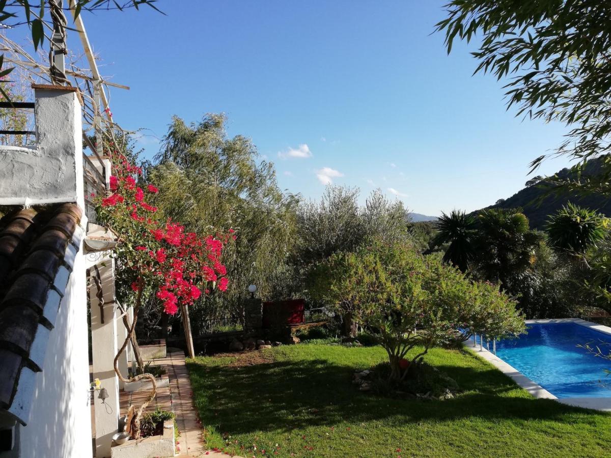La Fontana Villa Cortes de la Frontera Ngoại thất bức ảnh