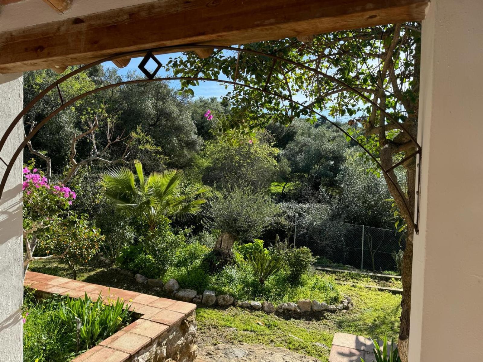 La Fontana Villa Cortes de la Frontera Ngoại thất bức ảnh