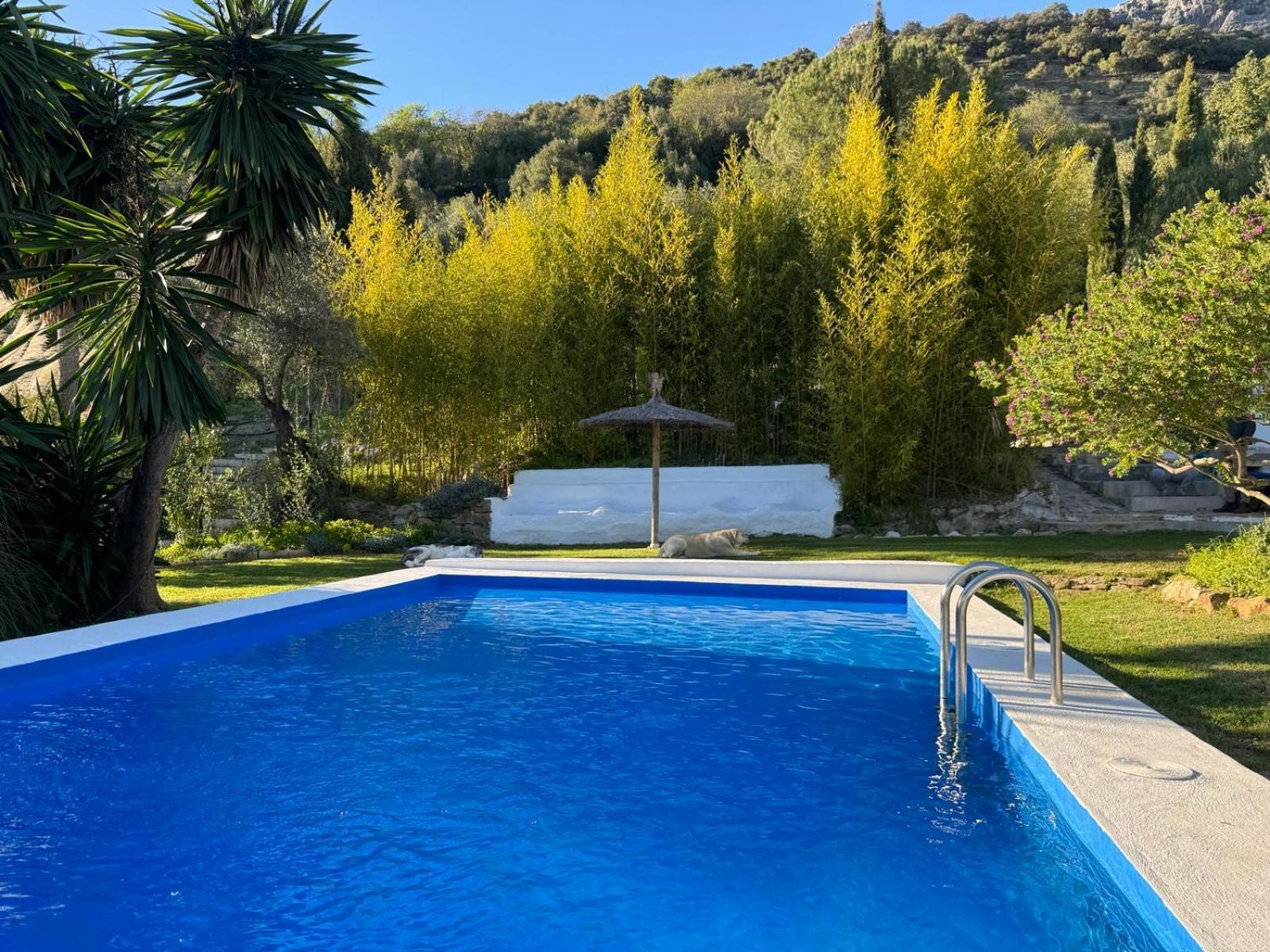 La Fontana Villa Cortes de la Frontera Ngoại thất bức ảnh