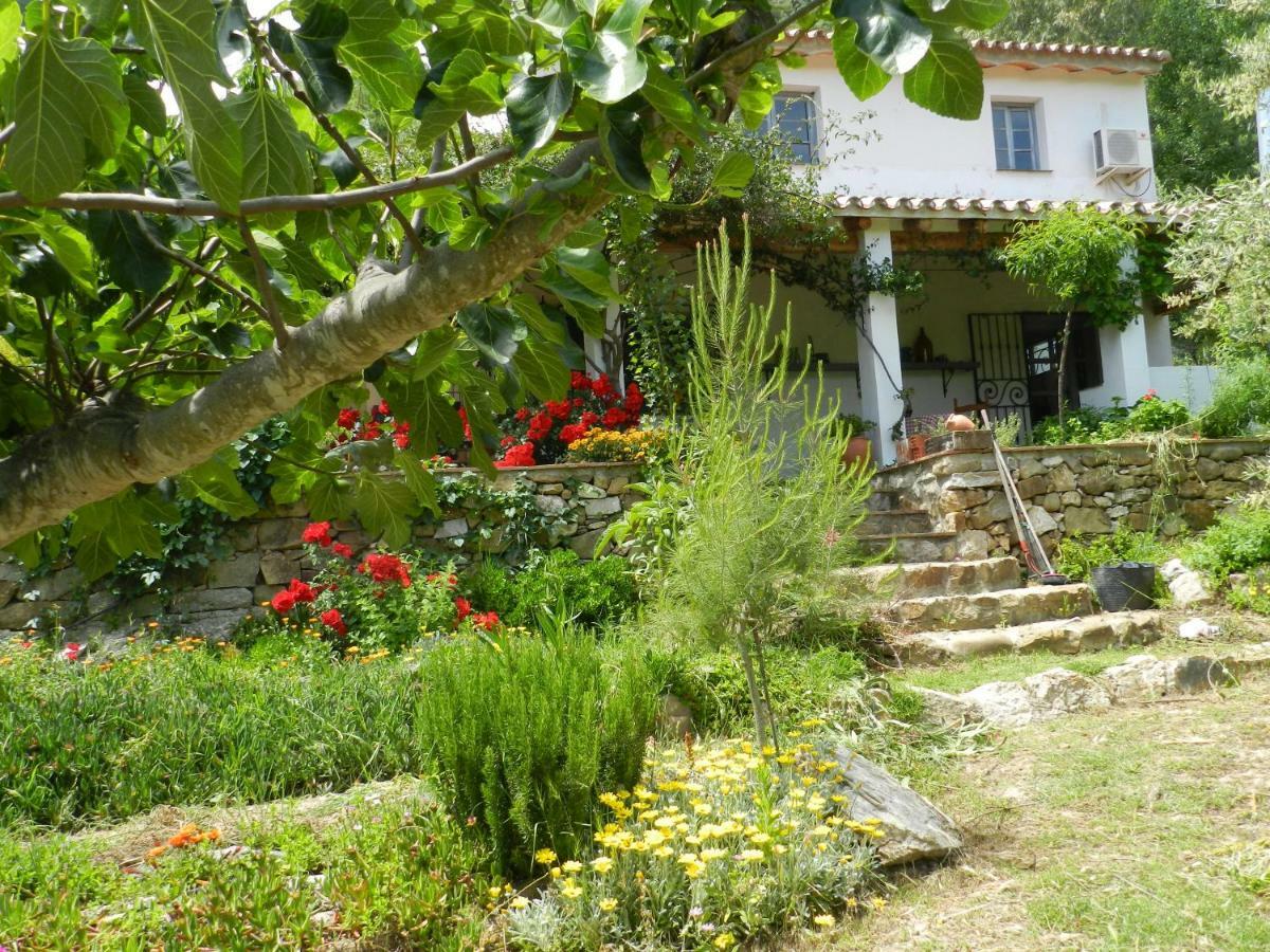 La Fontana Villa Cortes de la Frontera Ngoại thất bức ảnh