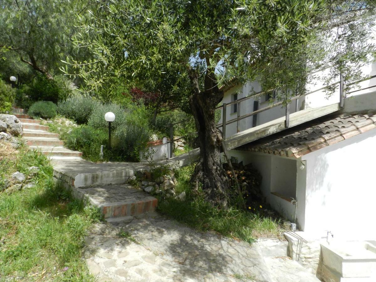 La Fontana Villa Cortes de la Frontera Ngoại thất bức ảnh
