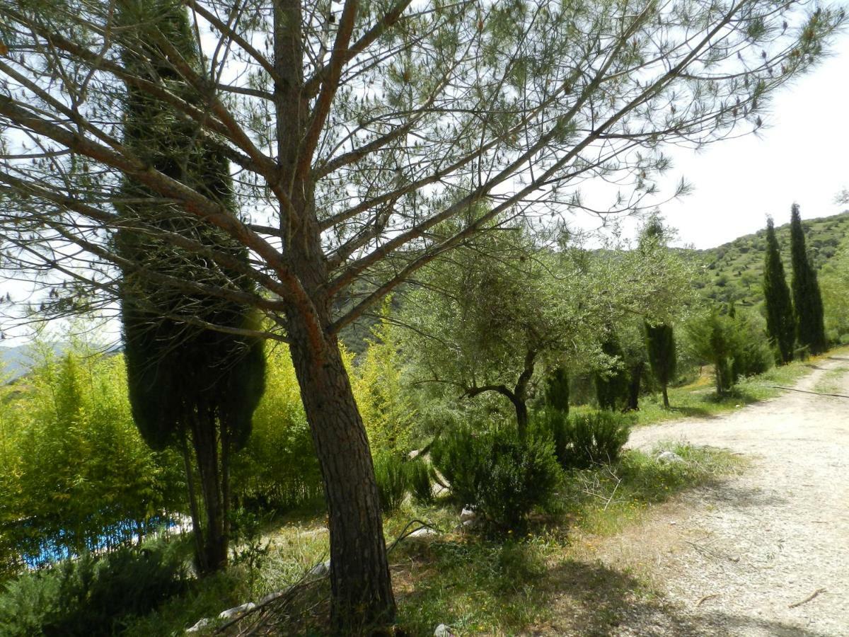 La Fontana Villa Cortes de la Frontera Ngoại thất bức ảnh