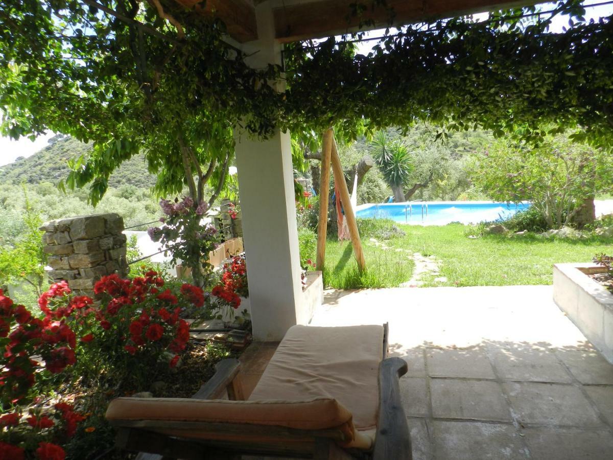 La Fontana Villa Cortes de la Frontera Ngoại thất bức ảnh