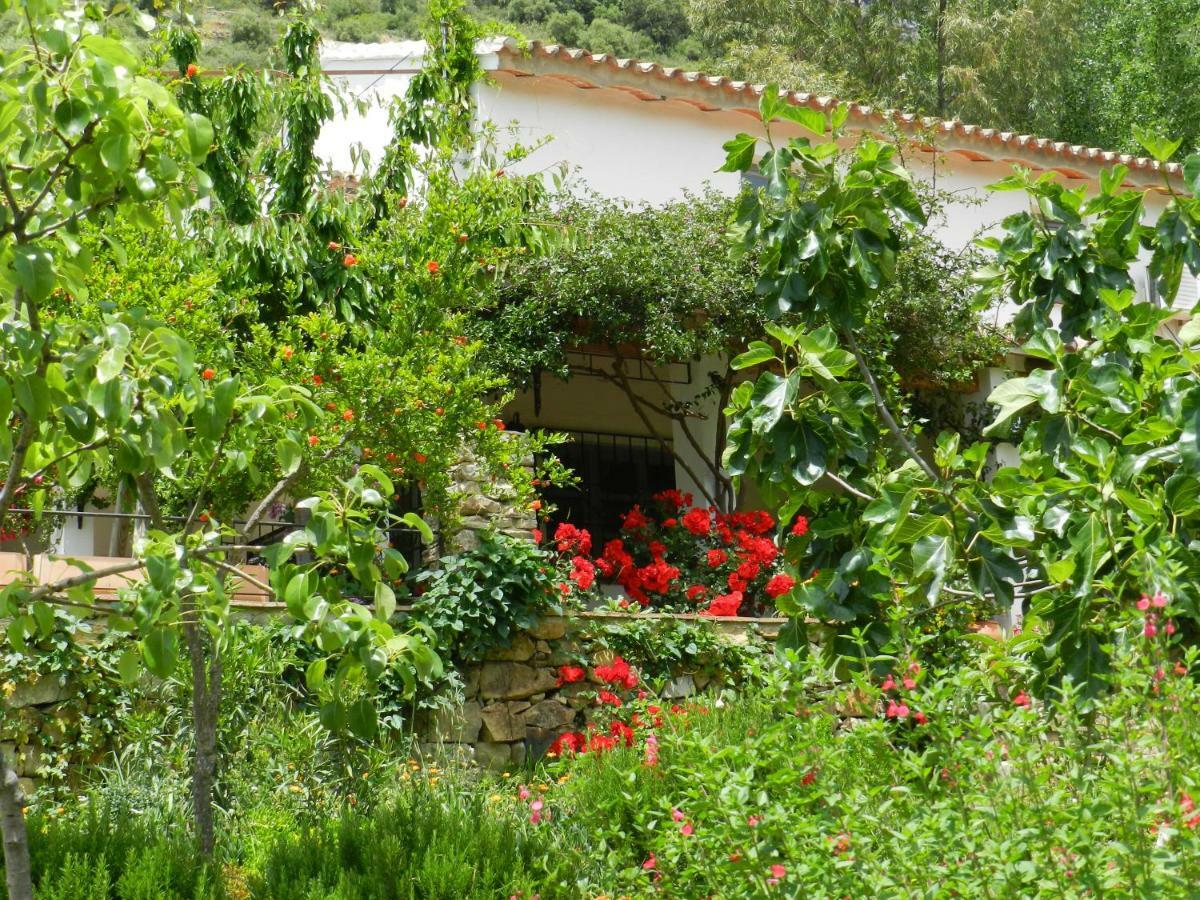 La Fontana Villa Cortes de la Frontera Ngoại thất bức ảnh